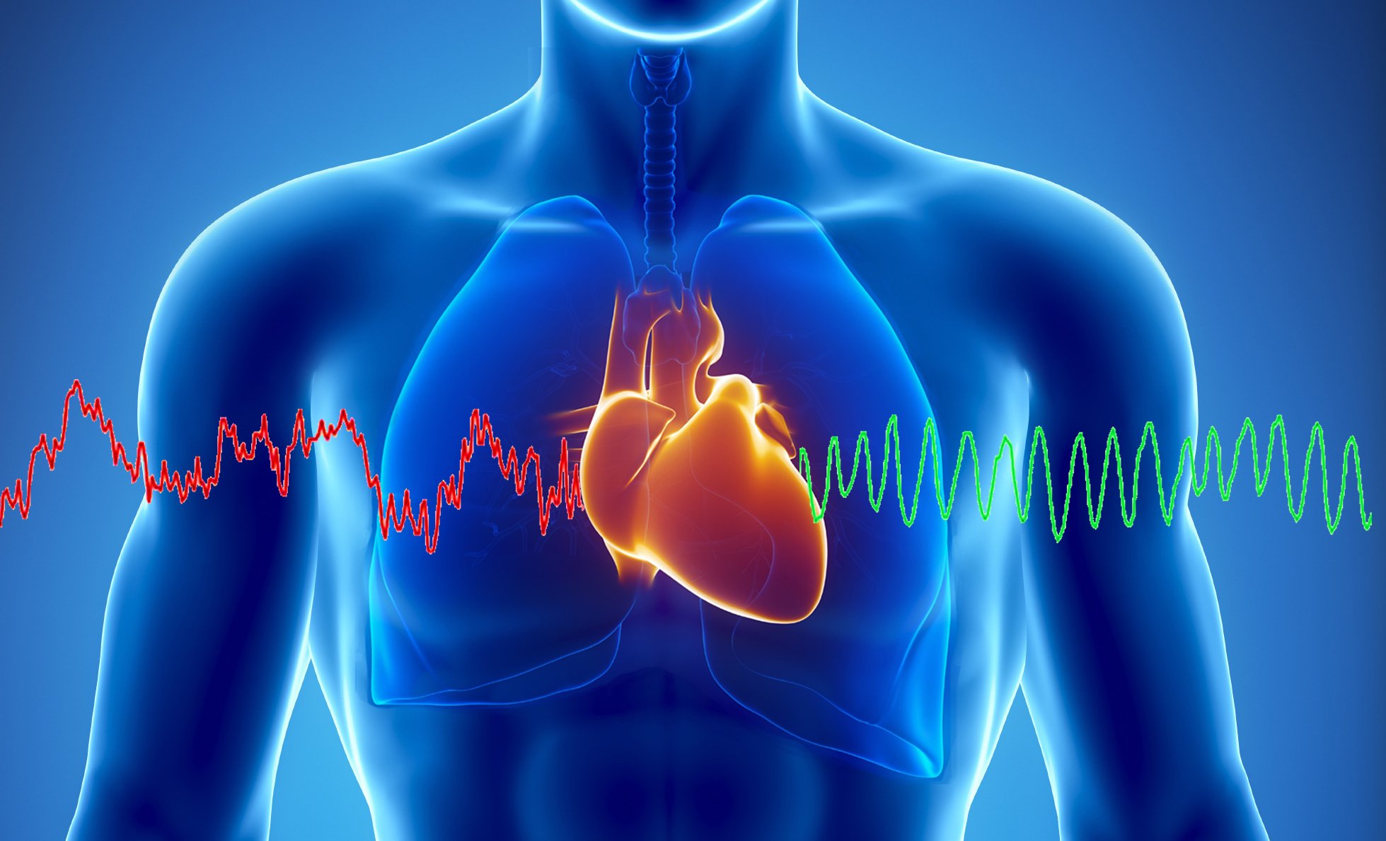 brain heart coherence brain heart coherence