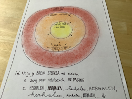 Studiebegeleiding